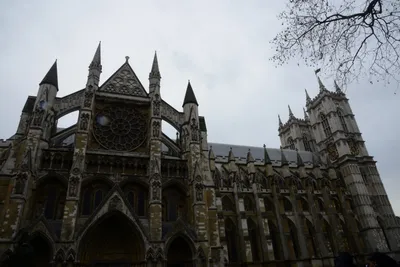 DSC_5608 (Large).JPG